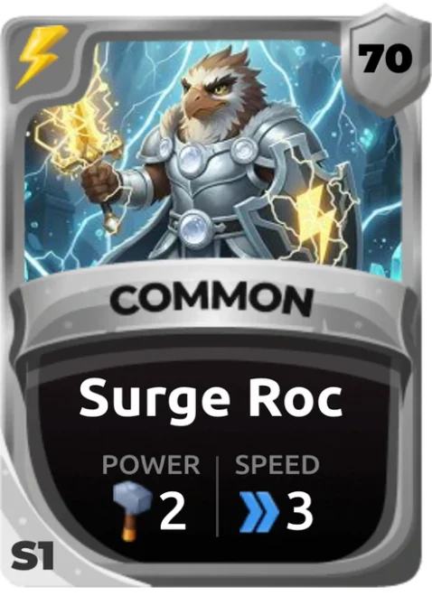 Surge Roc